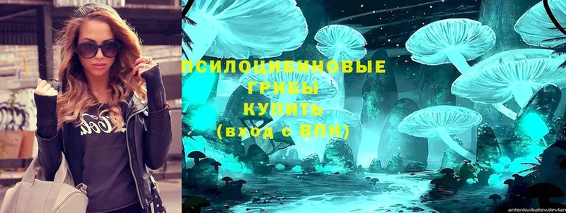 Псилоцибиновые грибы Magic Shrooms  Мурино 